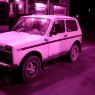 PICTURE_010