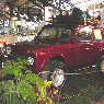 Niva-Equador-2