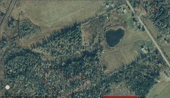 juandamage-origional