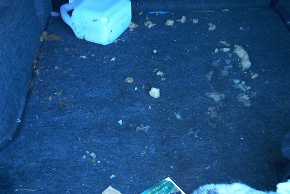 im001712