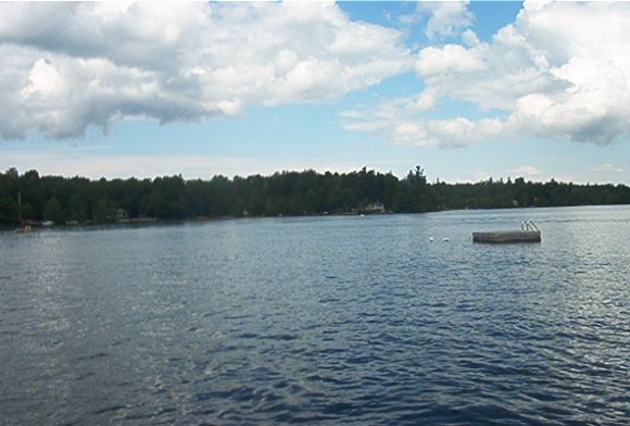im002390