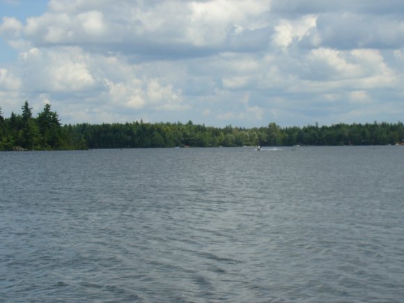 p1000347