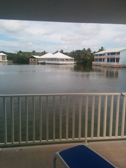 IMG_20160130_095344-1-