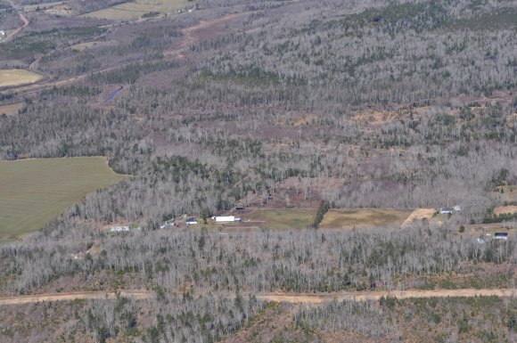 DSC_0030