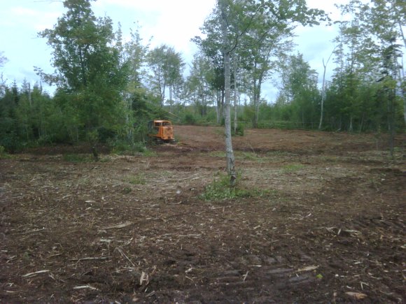 IMG00068-20110916-1115