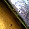 IMG-20120315-00549