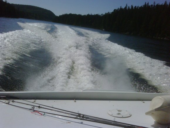 IMG00123-20110731-1024