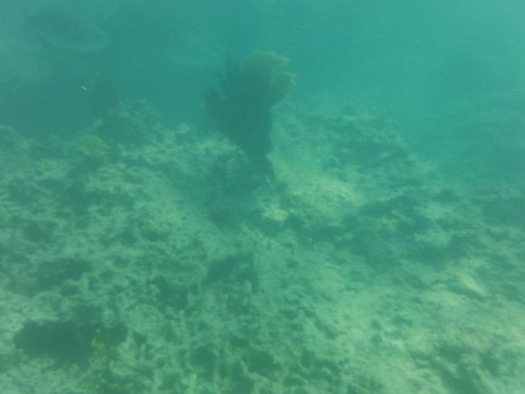 DSCF1184