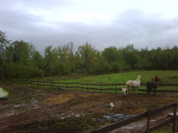 IMG00066-20110916-0916